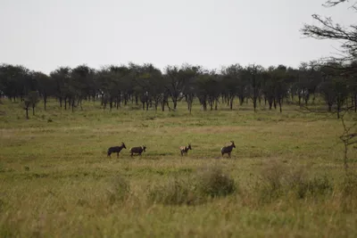 DSC_3691 (Large).JPG